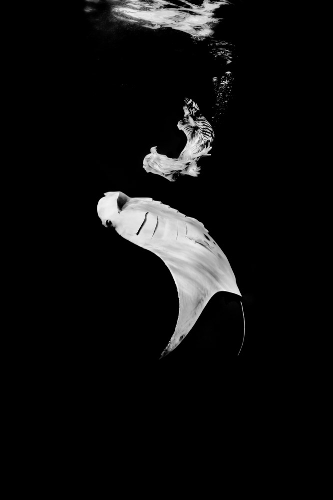 Manta Ballet 2